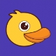 DuckChat官方版 v1.1.2