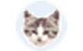 EF File Catalog