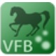 VisualFreeBasic官方版 v5.8.5