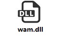 wam.dll