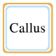 Callus官方最新版v1.0