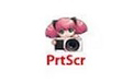 PrtScr