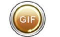 iPixSoft GIF to Video Converter