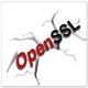 OpenSSL最新版 v1.10