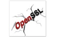 OpenSSL