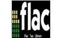 Flac Tag Library