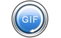 ThunderSoft GIF Converter