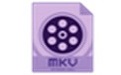 Dimo MKV Video Converter