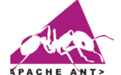 Ant