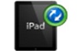 ImTOO ipad Mate Platinum