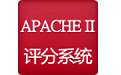 Apache II评分系统