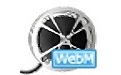 Bigasoft WebM Converter