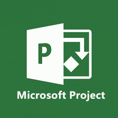 Microsoft Project2010官方版