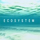 生态系统中文版