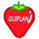 guiplan