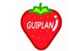 guiplan