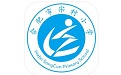 合肥市宋村小学电脑版