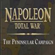 拿破仑全面战争steam汉化补丁官方版  v1.3