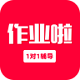 作业啦电脑版