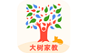 大树家教电脑版