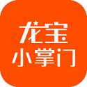 龙宝小掌门电脑版