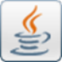 Java JDK官方版 v19.0.1