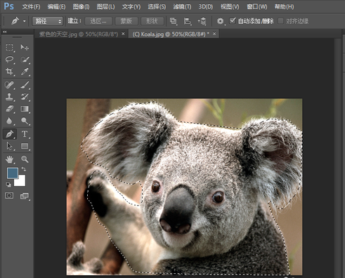 photoshop8.0怎么抠图?photoshop8.0抠图教程