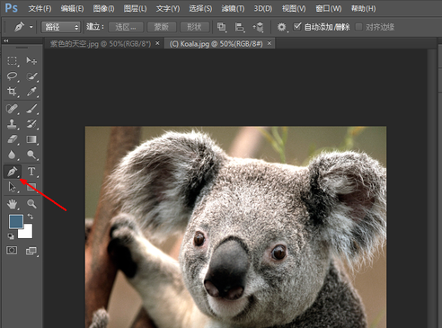 photoshop8.0怎么抠图?photoshop8.0抠图教程