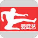 爱武艺学武术电脑版
