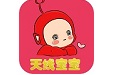 天线宝宝育儿宝典电脑版