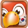 学韩国语电脑版