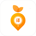 萝卜词典电脑版
