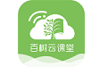 百树云课堂电脑版