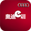 奥迪e训