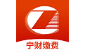 宁财缴费电脑版