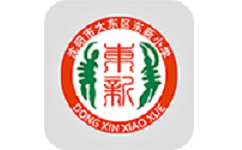 沈阳市大东区东新小学电脑版