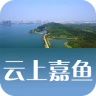 云上嘉鱼电脑版