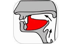 小学英语自然拼读课堂电脑版