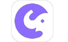 大象题库电脑版