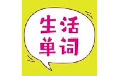 非凡单词电脑版