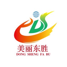 美丽东胜电脑版