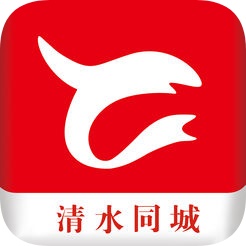 清水同城电脑版