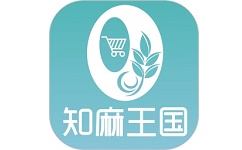 知麻王国电脑版