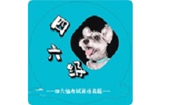 英语四六级考试真题电脑版