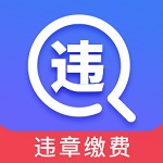 查违章12123电脑版