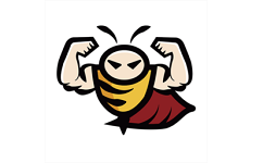 蜂隐教练电脑版