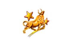 星速策略电脑版