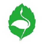 老师之家电脑版