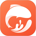 致愿老师电脑版