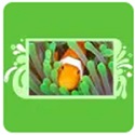 Clownfish最新版 v5.10